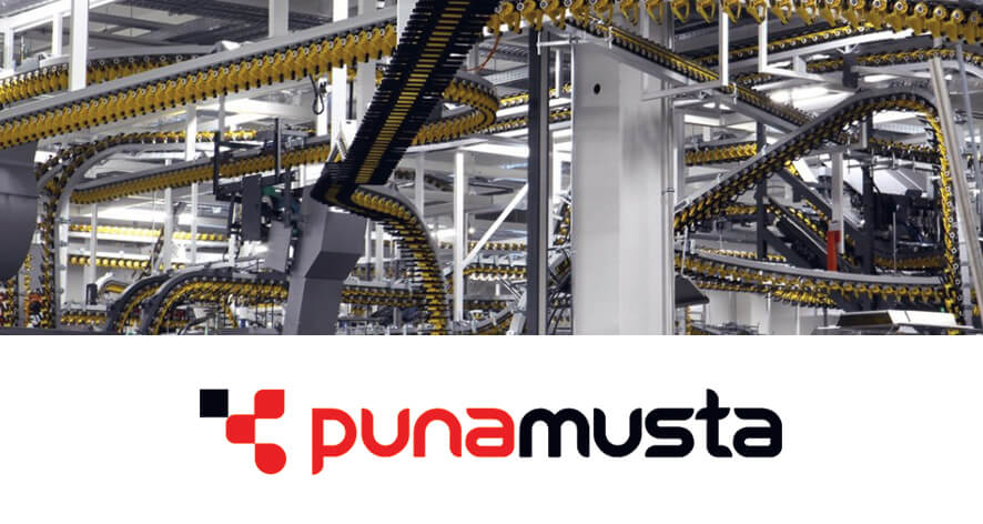 Punamusta